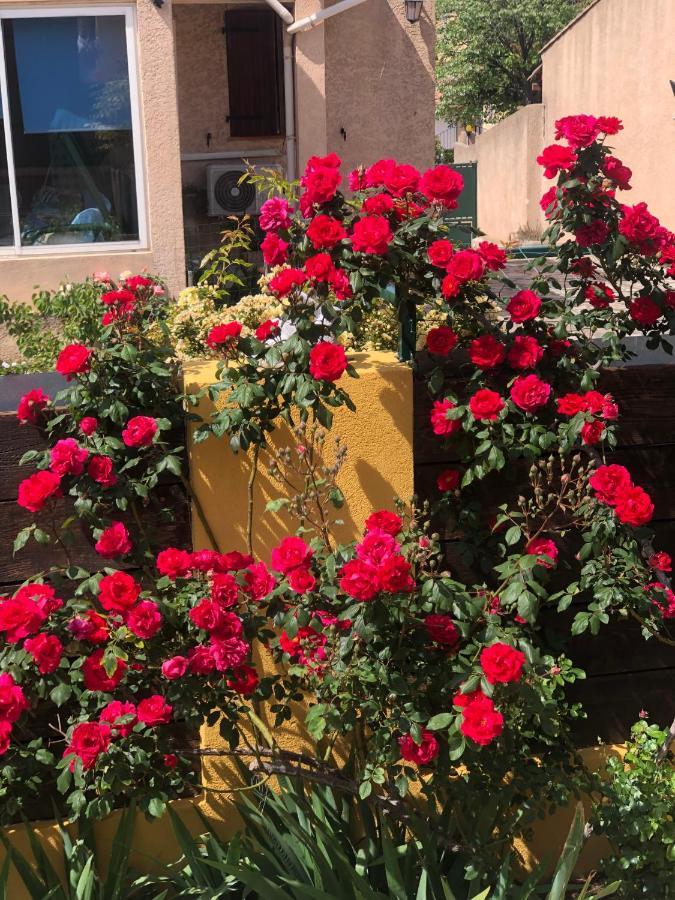 Chez Guy Bed & Breakfast Marseille Bagian luar foto