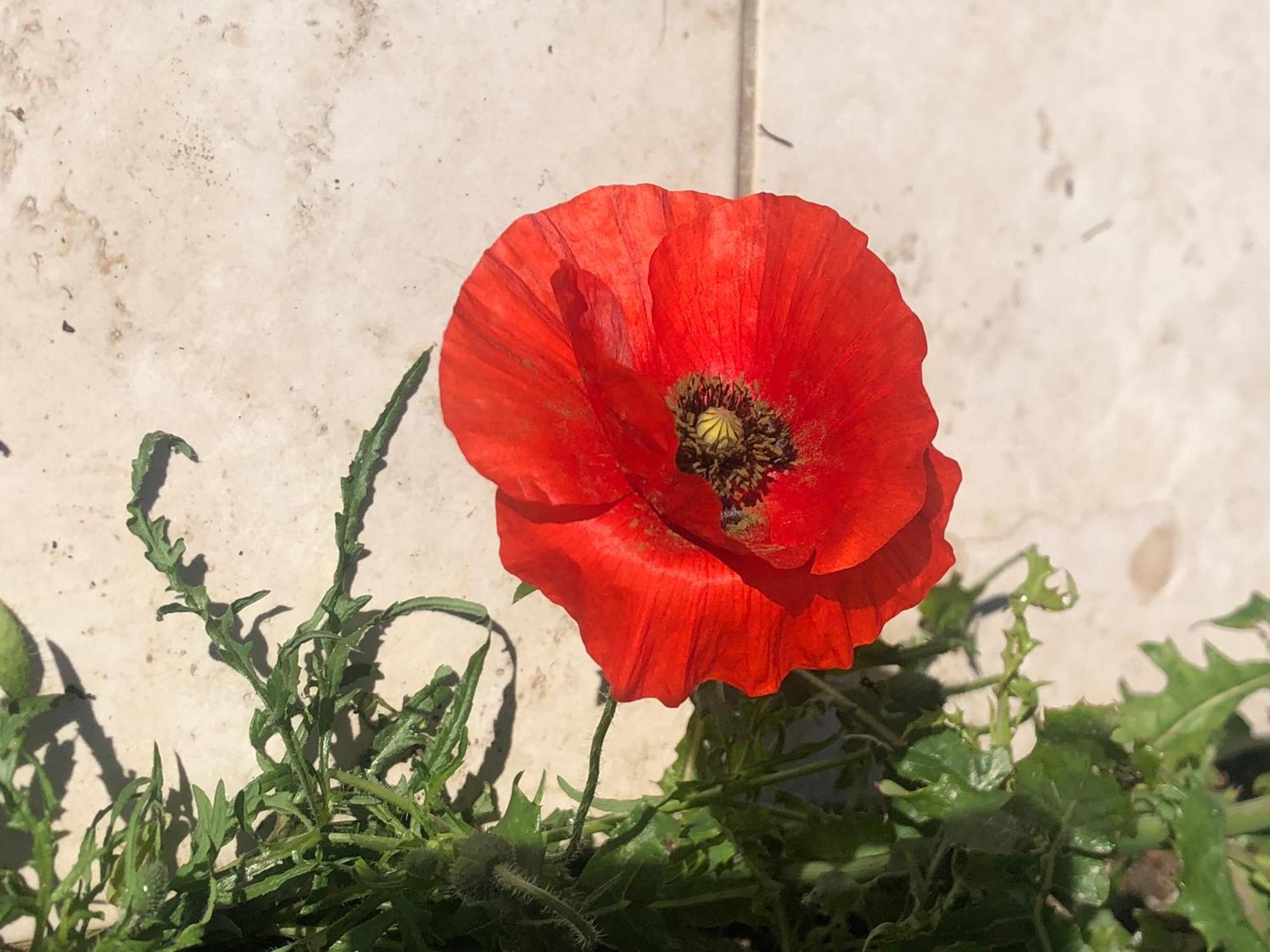 Chez Guy Bed & Breakfast Marseille Bagian luar foto